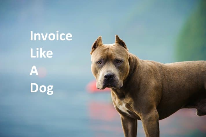 A fierce looking american bully representing on how to invoice like a dog