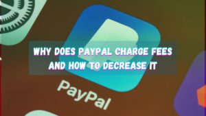 Why does PayPal charge a fee? If you're a freelancer or entrepreneur, here are the ways to decrease or even eliminate these fees.