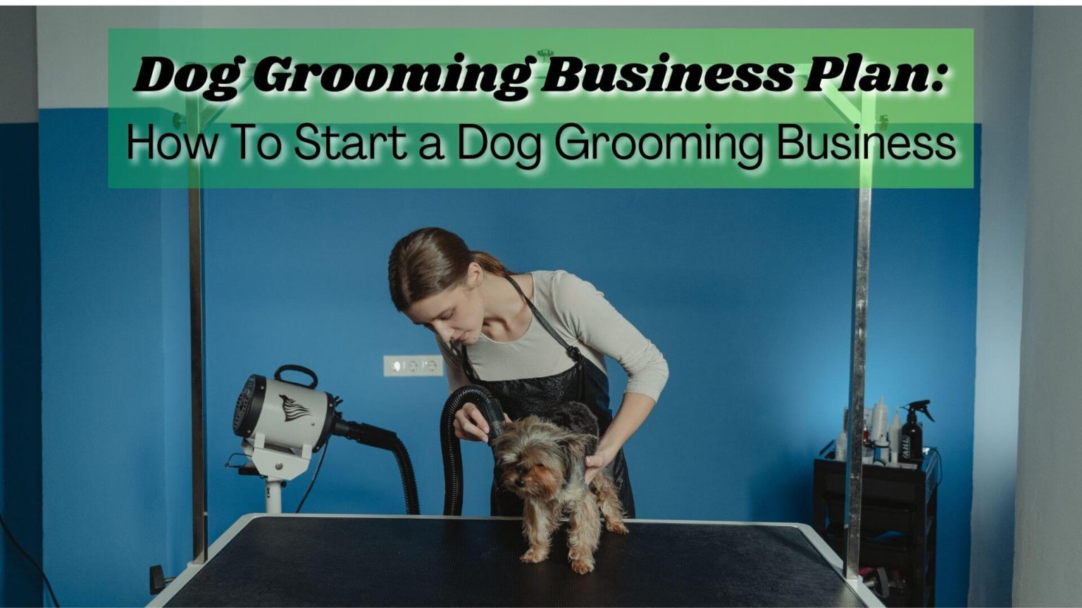 dog grooming business plan sample