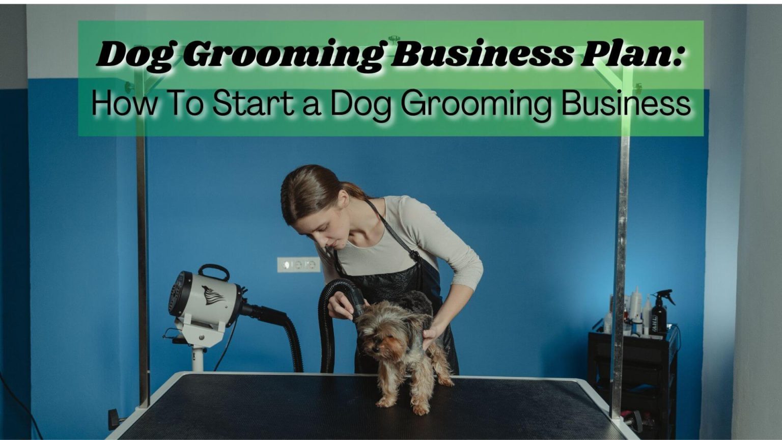 Dog Grooming Business Plan How to Start ReliaBills