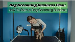 Starting a dog grooming business is no small feat, but with a proper plan and preparation, it can be done. Here are all of the steps needed.