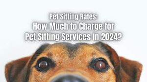 Do you want to start a pet-sitting business but don't know how much to charge? Here's how much pet sitters should charge for their services.