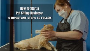 How to start a pet-sitting business? Here's how to get started in this field, and how to ensure that your business is successful.