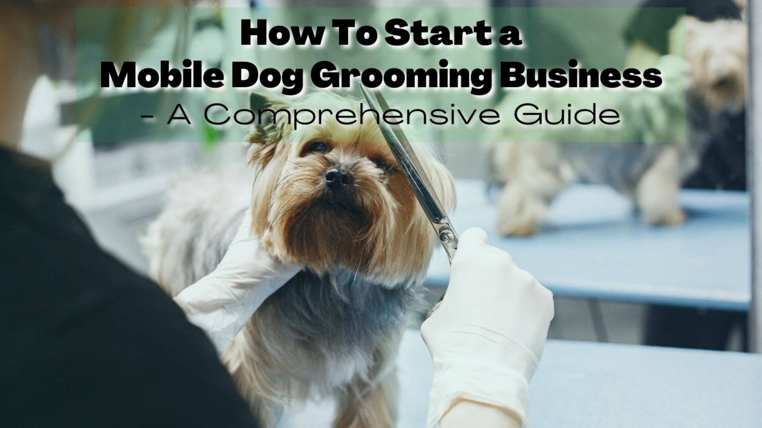 How To Start a Mobile Dog Grooming Business ReliaBills