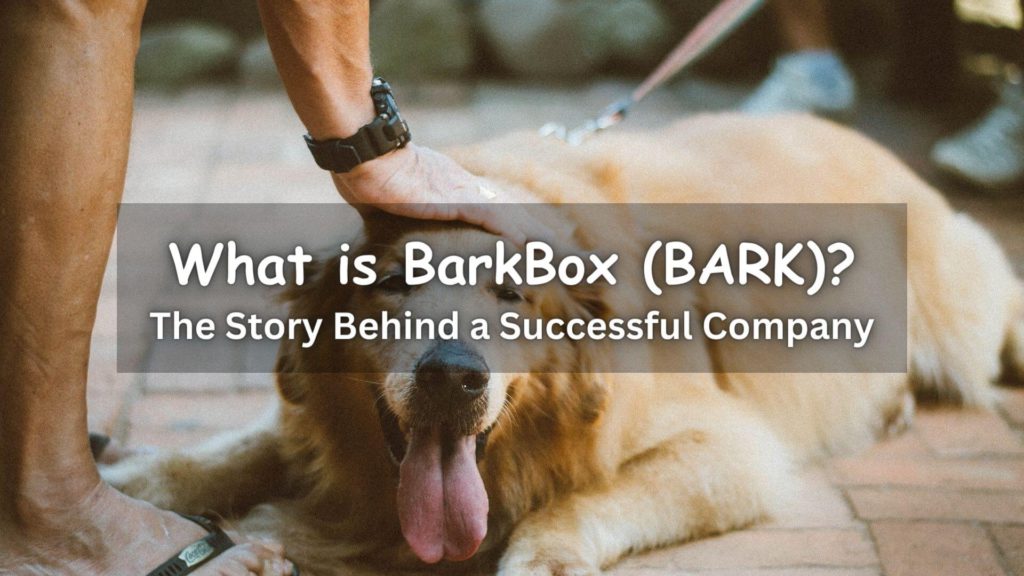 BARK, formerly known as BarkBox, is a dog-centric company with a single-minded devotion to making dogs and their people happy. Learn more!