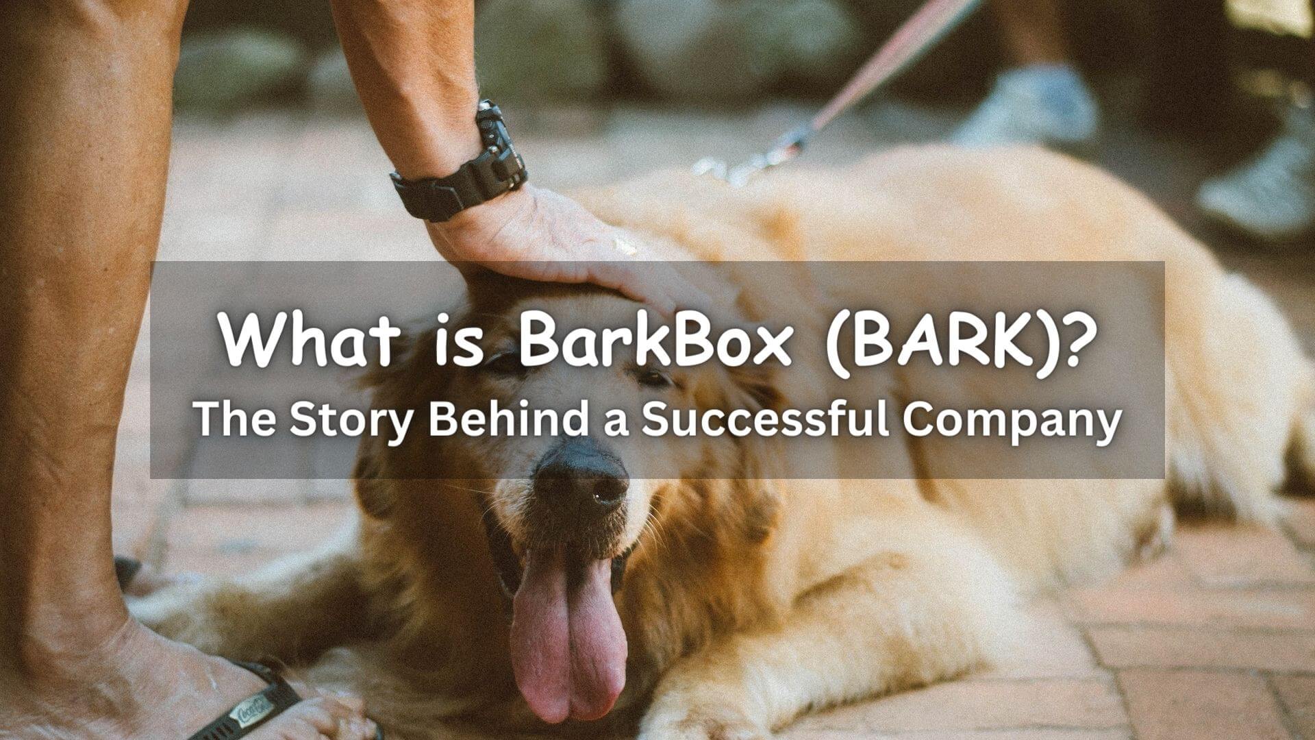 BarkBox - The Monthly Dog Toy and Treat Box